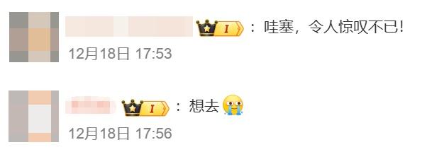 27米冰雕黄鹤楼，突然爆火！网友瞬间沸腾