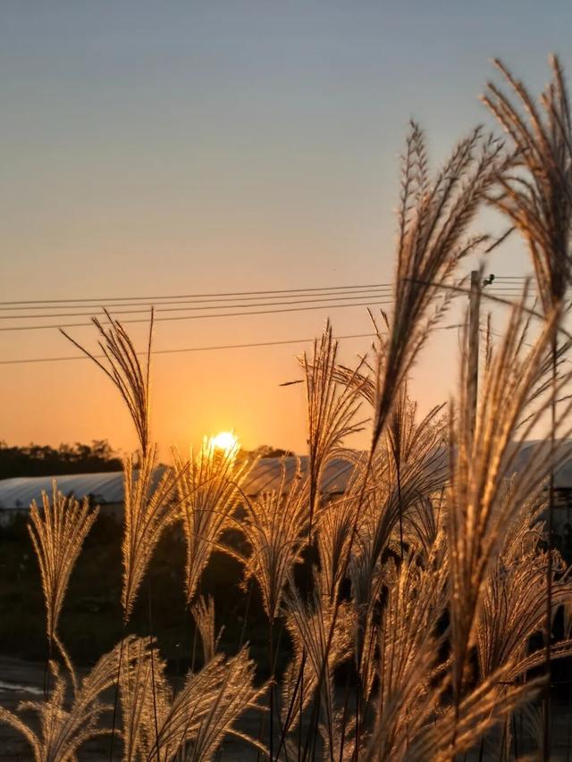 藏不住了！看一眼就“沦陷”！