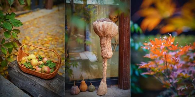 来东城这个胡同小院，邂逅蘑菇精灵的童话秘境——