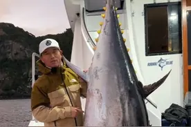 邓刚钓700斤金枪鱼被质疑造假，本人回应图片