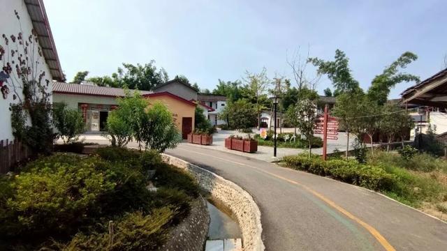 成都的绿道，上万公里了！