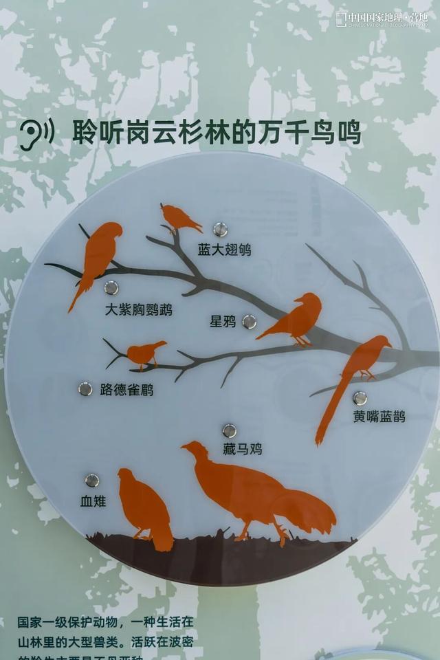 波密零碳自然驿站矩阵落成
