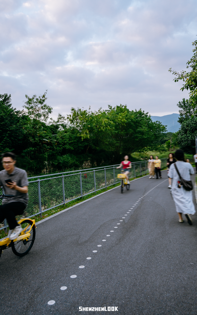 “看牛看海看夜景，深圳骑行路线精选”