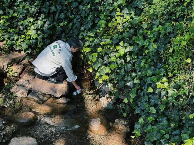 丽江黑龙潭出水口又冒出清泉啦