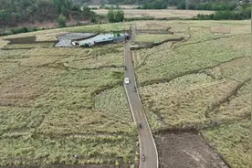 云南广南：26万亩油菜预计可实现产值1.6亿元图片