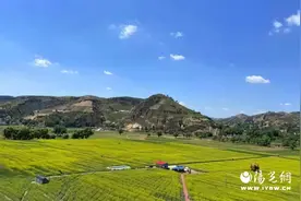 子洲县文化产业赋能县域经济高质量发展图片