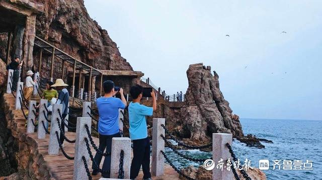 蜿蜒于临海悬崖，绝美网红打卡地！蓬莱阁老北山后海栈道开放