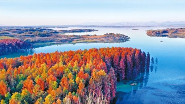 驻马店：素颜驻马店 美出天际线——驻马店“十四五”生态答卷引发社会各界热议