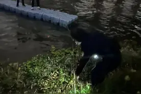 两少年玩浮筒被风吹到河中央，女警河边狂追2公里救上岸图片