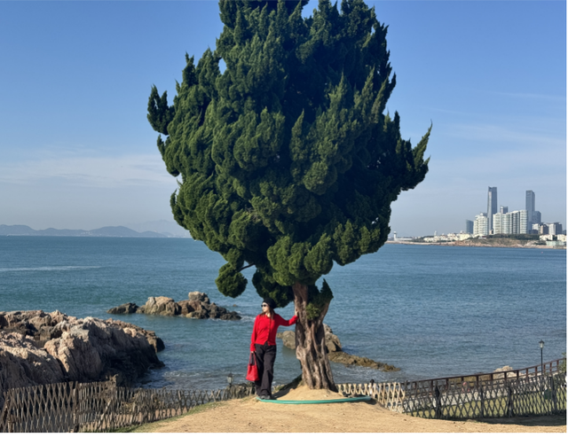 山海之城的流量密码，解码青岛文旅的进阶之路