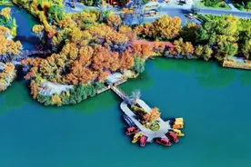 在金黄与碧波之中，绿润泽普图片