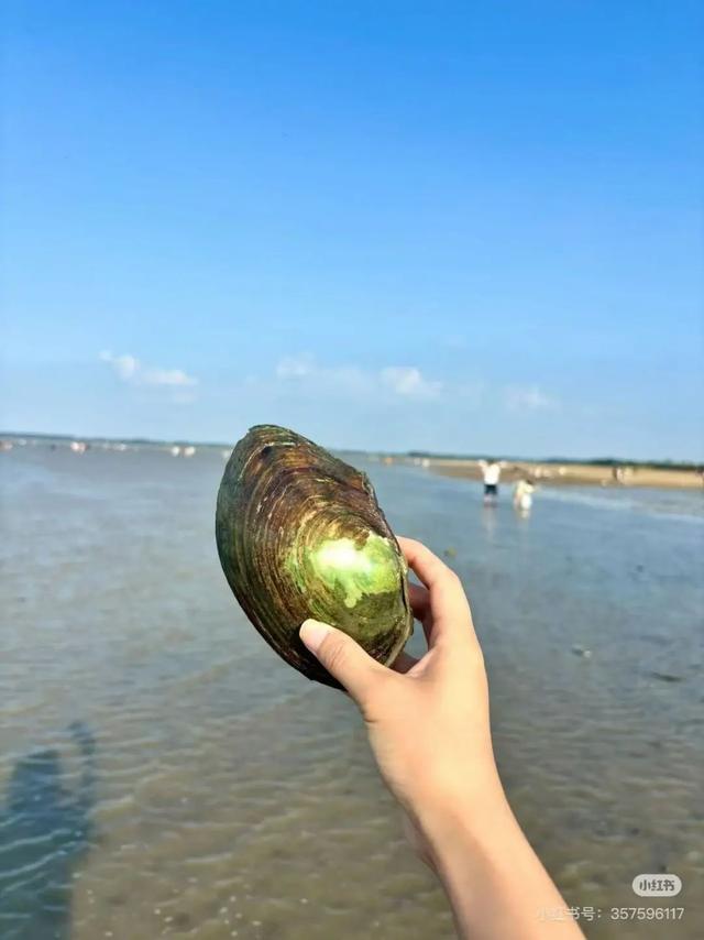 这个周末，我要去淮安赶“海”、捞河蚌、摸螺螺！