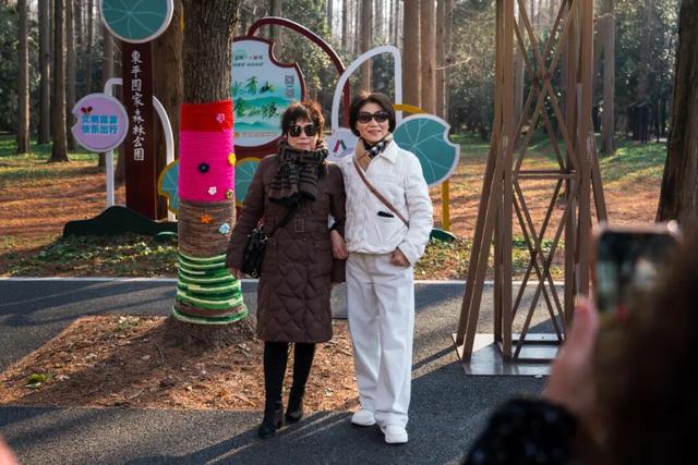 这么萌的树，谁能拒绝！