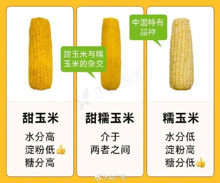 玉米是所有粗粮里最会骗人的