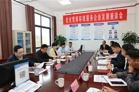 河南淅川：访代表委员 助企业发展图片