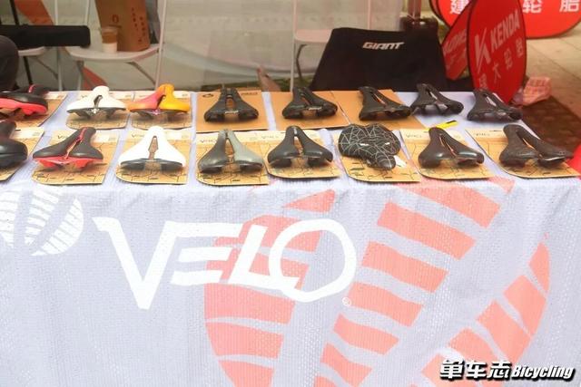 车迷的聚会 | 2025捷安特环阳澄湖骑行活动