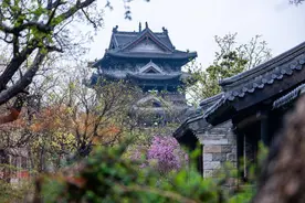 泉城启航，融通未来——济南机场-清照泉城直达线春日发车，助力畅游古城图片