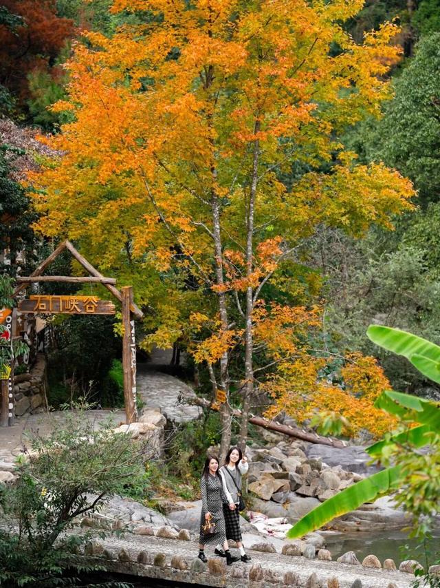 “秋假”第一站！上饶把最美的颜色，“晒”给你看