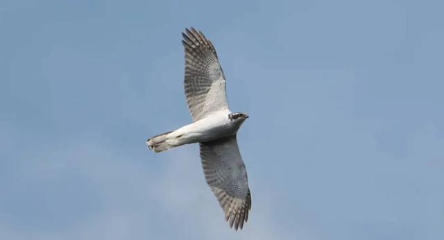 无锡最新追“星”指南，速收藏！