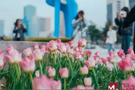 踏青去 | 春天在哪里？在摄影师的镜头里图片
