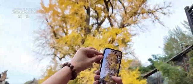 特色赏秋游热潮澎湃 “文旅+”新场景新业态激发“秋日经济”活力