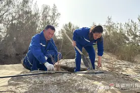 大国工程看新疆·践四力 改文风丨“把树守好了，路就好了！”图片