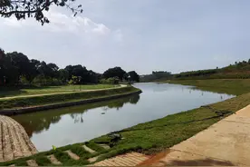 湛江雷州市调风镇：赤尾村群众自主参与人居环境整治，助力绿美调风建设图片