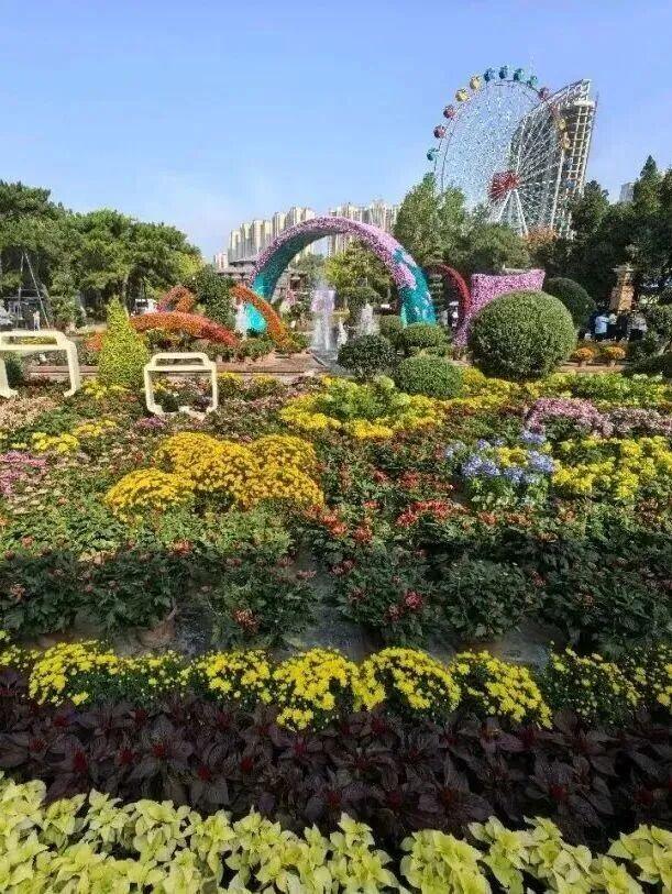 没有一朵花瓣能飘出洛阳