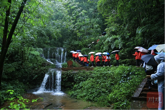 引爆研学热！宜宾首个秋假文旅成绩单来了