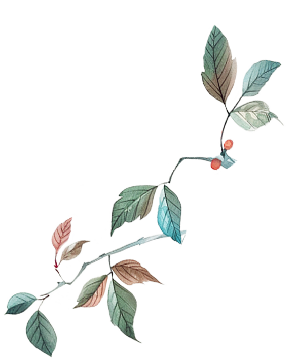 周末去打卡！南宁四大花海上线，20℃暖冬赏花攻略一键收藏！