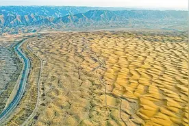 腾格里沙漠穿上格子“毛衣”图片