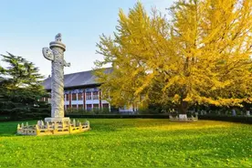 北大的树，究竟多少岁？图片