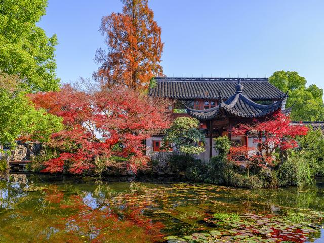 0元追！杭州徒步圈最强“顶流”上新，大片红枫爆红了