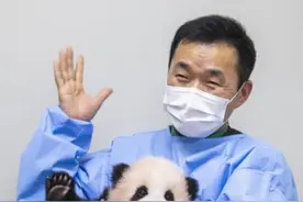 母亲突然离世，姜爷爷仍决定陪“福宝”回中国，韩国网友泪目图片