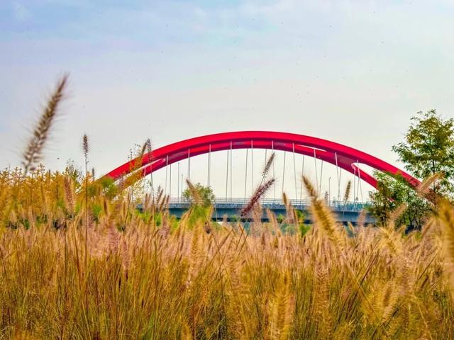 走进西安4大免费开放的宝藏公园