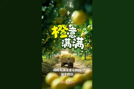 创意海报｜AI眼中“橙”意十足的海南琼中绿橙图片