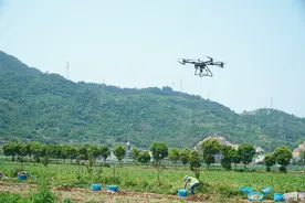 “智”惠春耕！霞浦这场活动助推农业增产农民增收图片