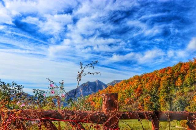 九九重阳，梨木台邀您共赴一场秋日敬老之约