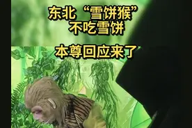 秀我中国｜东北“雪饼猴”不吃雪饼：本尊回应来了图片