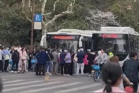 游客成队在杭州雷峰塔外堵路拦公交，当地正实施交通管制，公交集团：已处置图片