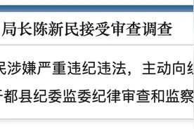 主动向组织交代问题！江西宁都县自然资源局原党组书记、局长陈新民接受审查调查图片