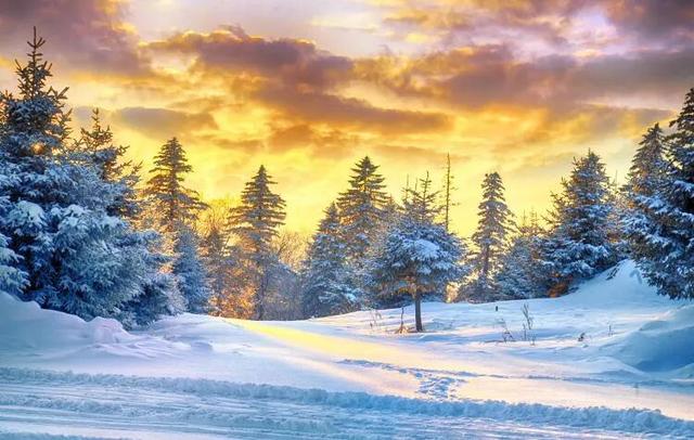 和龙顶流！美翻了！