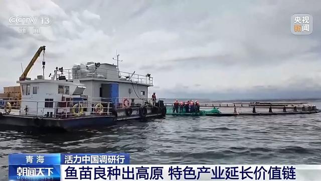 活力中国调研行丨“一季火”到“四季新” 高原小城打造文旅新名片