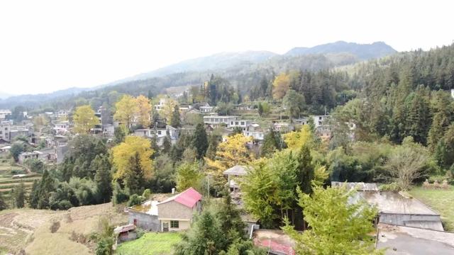 普安山川风物 || 地瓜鲁沟：银杏树下幸福人家