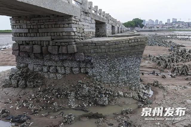泉州洛阳桥：屹立千年的跨海丰碑