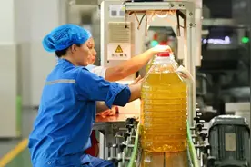 国际棕榈油价格大涨，或对大豆油料市场形成支撑图片