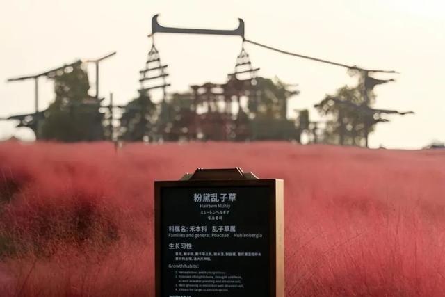 西安上新！高颜值秋景，正在加载！