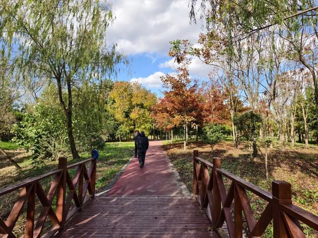 hi，你看到我的小伙伴了吗？