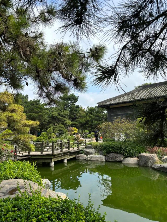 顶级美学!西安这4个园林,美到失语!