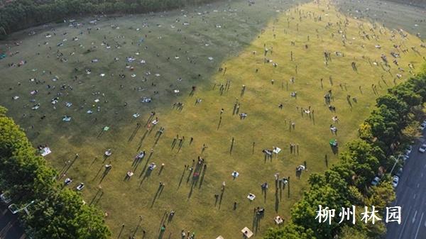 柳州市马鹿山大草坪成为冬日“追光”胜地